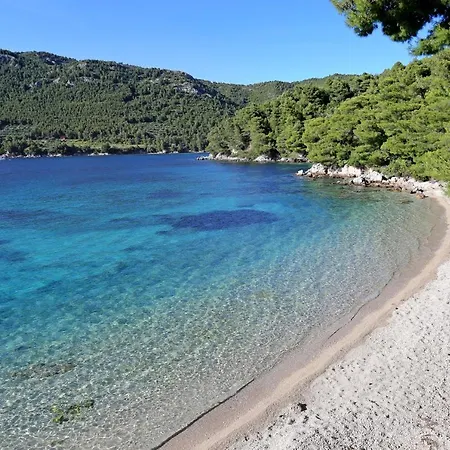 Apartments By The Sea Zuljana, Peljesac - 10112 Apartment